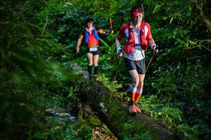 BIB: 
                            <button type="button" onclick="openModal(18922050)" class="btn btn-primary btn-sm float-right btn-popup" data-toggle="modal" data-target=".modal-high-quality">
                        <i class="fas fa-shopping-cart"></i> Add to Cart
                    </button>
                                            <button type="button" onclick="isThisMe(18922050, true)" class="btn btn-success btn-sm float-right btn-popup btn-isme hidden" data-toggle="tooltip" data-placement="bottom" title="นี่คือรูปของคุณใช่ไหม คลิกที่นี่เพื่อเอาเข้าอัลบั้ม">
                        <i class="fas fa-plus"></i> Add to album
                    </button>
                    <button type="button" onclick="isThisMe(18922050, false)" class="btn btn-warning btn-sm float-right btn-popup btn-isnotme hidden">
                        <i class="fas fa-ban"></i> Remove from album
                    </button>